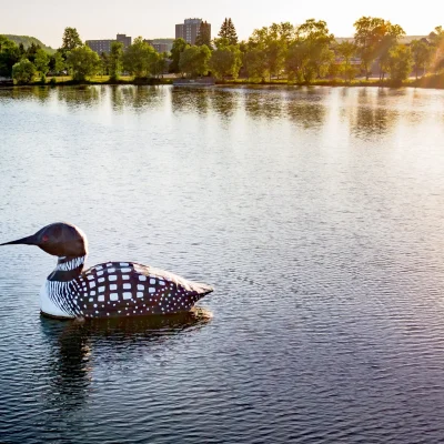 Silver-Lake-Loon-scaled-e1745266077937